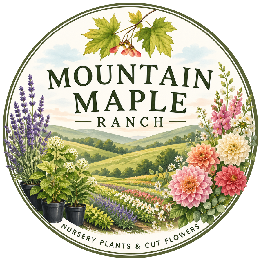 Mountain Maple Ranch Stickers